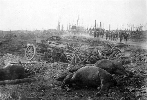 第一次世界大战600万动物都来打仗，堪称复仇者联盟4中灭霸军团